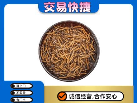 台湾彰化县高价回收散虫草